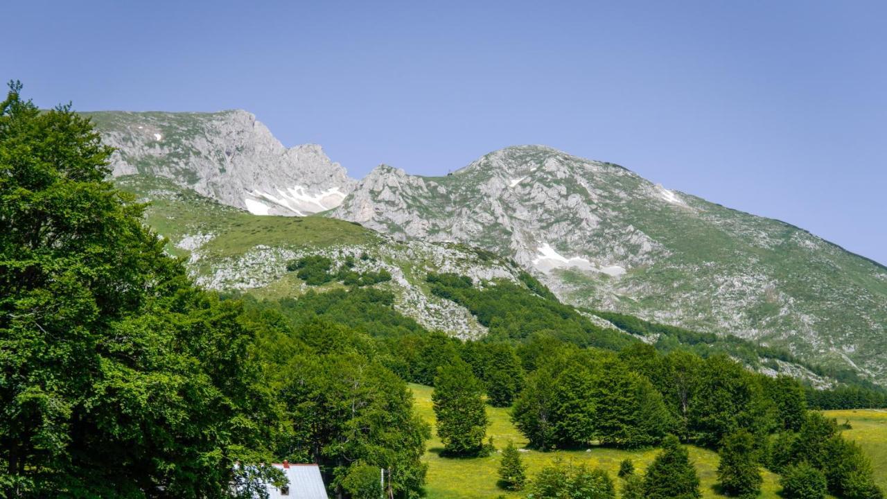 Mountain House Drveni Raj Villa Žabljak Exteriör bild