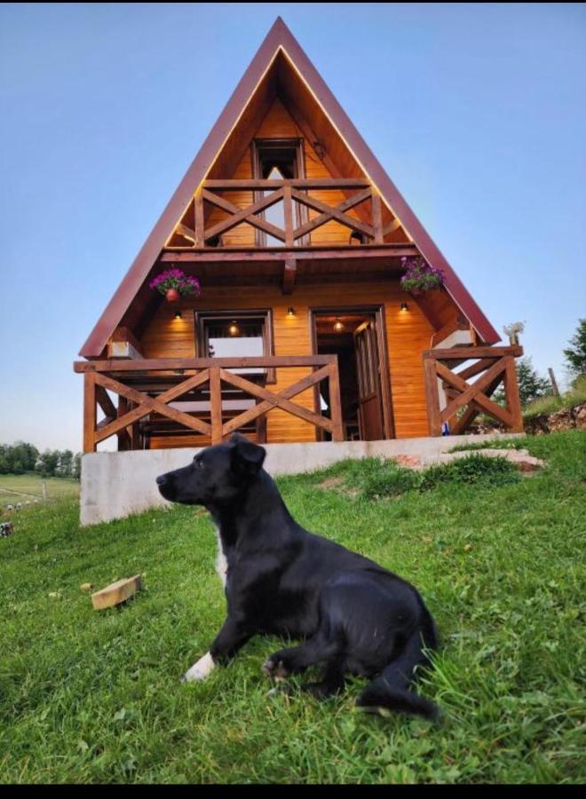 Mountain House Drveni Raj Villa Žabljak Exteriör bild